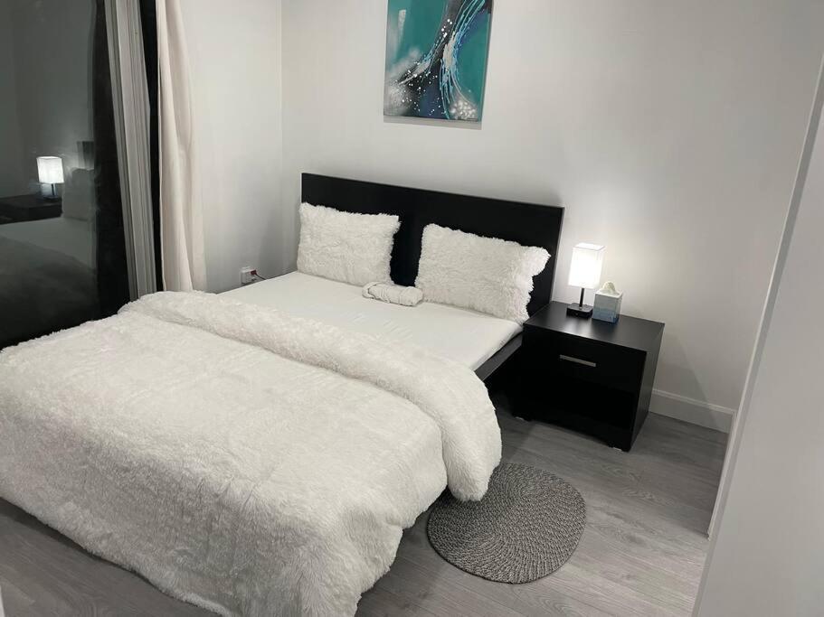 Harmony Home Near University Of واترلو المظهر الخارجي الصورة